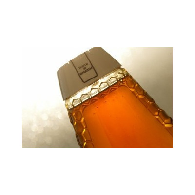 SQUEEZE LINEA  GOLD capacita 250 gr. di miele