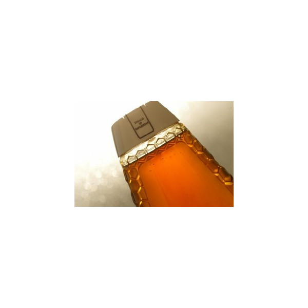 DOSATORE SQUEEZER LINEA GOLD capacita 250 gr. di miele