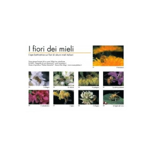 Serie fotografie 'I fiori del miele', 9 foto a colori 210x300 mm